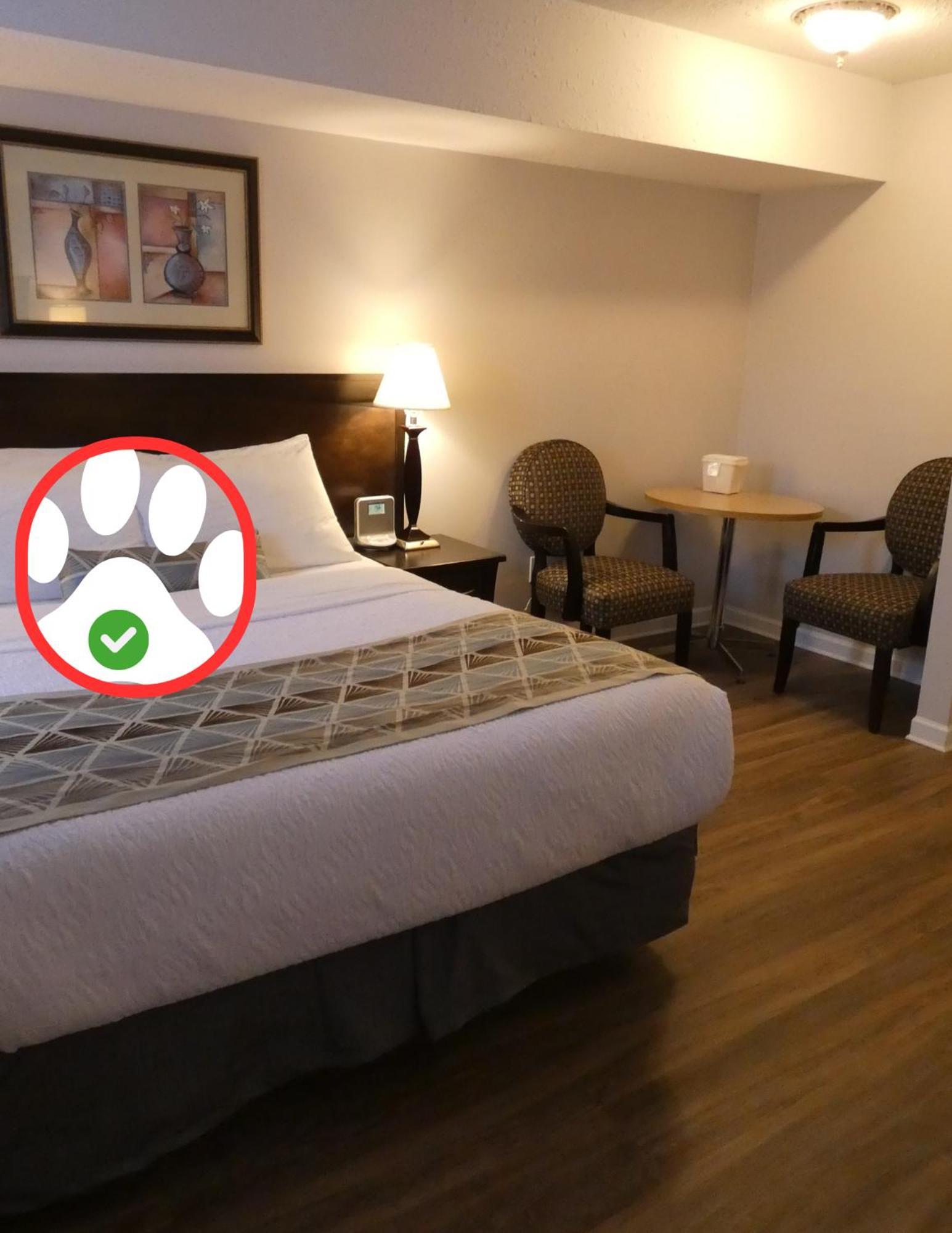 Mini-hôtel Dilworth 2*