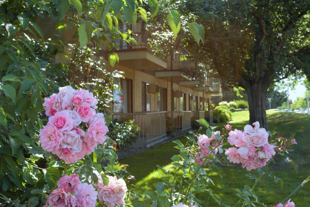 Dilworth Inn 2*